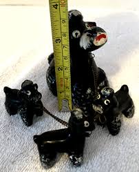 Precious black spagetti poodles | eBay