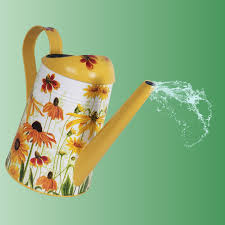 SUNNY WILD BLOOMS Decoupage Classic Watering Can | Wide ...