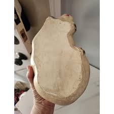 Vintage Chalkware Sleeping Cat Carnival Prize - Etsy Israel