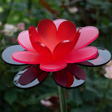 Ruby Lotus – The Colored Petal