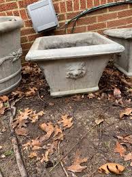Large concrete planters