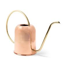 Kings County Tools 48oz Copper Watering Can : Target