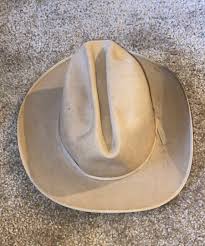 Peter Bros The Texas Hat Shady Oak 40 Beaver Cowboy Hat ...