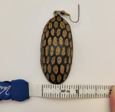 1970s Carved Nut Shell Earrings- Textured Oblong Nut Shell ...