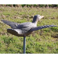 Coot Decoys for Sale - Wholesale Duck Decoy Solutions