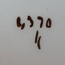 Sadler Windsor Made in England 4370 4-Cup Cube Teapot w/Lid ...