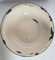 Vintage Farmhouse Enamelware 14" Cream Green Wash ...