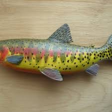 Juvenile Greenback Cutthroat Trout, Oncorhynchus Clarkii ...