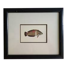 Vintage Framed Tropical Fish Art Print | Chairish
