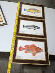 Rare Fallani And Cohn Smithsonian Institution Libraries Fish Placemat Set Cork | EstateSales.org