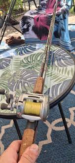 Quantum Cold Water Salmon/steelhead Combo for Sale in ...