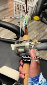 Cat Fisherman Vs Bass Fisherman | TikTok