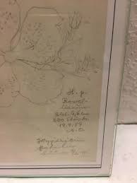 Golden cup St. John's wort Flowers Drawing Framed Home Decor ...