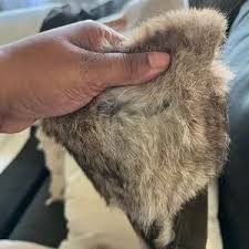 Coach | Shoes | Coach Beige Karita Rabbit Fur Suede Boots Sz 9 Leather Lined | Poshmark