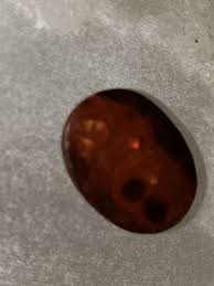 Polished Fire Agate Stone - 403 - Etsy