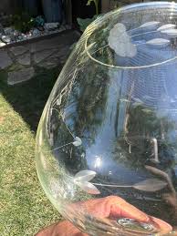 princess house large brandy snifter for Sale in Mission Viejo, CA - OfferUp