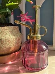 Pink Glass Plant Mister — herbally INFUSED