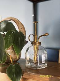 Vintage Brass & Glass Plant Mister Atomizer | French Countryside Garden Decor, Cottagecore, Grandmillennial Style, Decorative Botanicals - Etsy