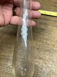 Vintage Etched Crystal Bud Vase ~ 10 Inches Tall | eBay