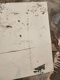 Has anyone seen this before has had it tested? : r/Flooring