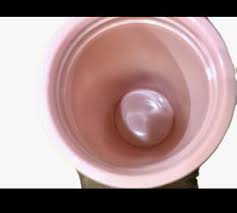 Reese's Looking Like a Snack 22 Oz Zak! Insulated Stainless ...