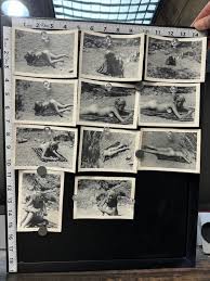 11 Black and White Nude Photos With 30 NEGATIVES & Contact ...