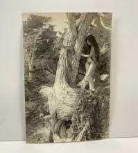 Sold at Auction: Albert Arthur Allen, 5 Silver Gelatin Nude ...