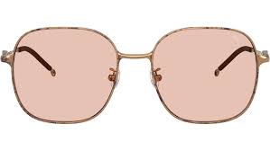 Diesel DL1010D Sunglasses 103084 Paper Transparent Bronze ...