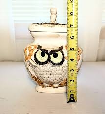 70's Rustic Canister Set - Hand Painted Owl's - Etsy