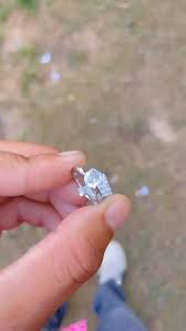 New Stock Arrivals: Explore Our Latest Collection