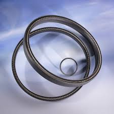 Explore the New Canted Coil MSE Seal | Greene Tweed