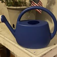 2gal Plastic Watering Can Cobalt Blue - Room Essentials™ : Target