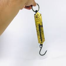 Antique Rebure Balance Scale, Spring Scale, Tubular Pocket Scale, Hand Held Scale, Hanging Scale 50 Kgs, Weighing Scales, Farmhouse Decor - Etsy