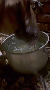 Bloodhound drooling and odor prevention tips needed