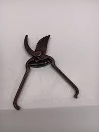 Wizard Pruning Shears | eBay