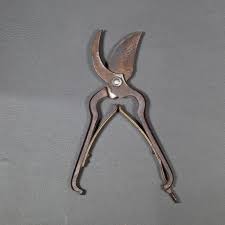 Antique Steel and Brass Pruning Shears C1920 | Chairish