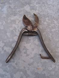Vintage Secateurs | eBay
