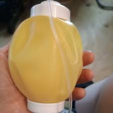 Fundraiser by Elizabeth Bice-Dunham : Help Elizabeth Bice ...