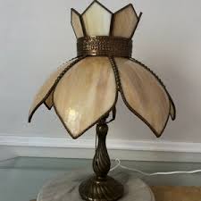 Vintage Light Peach Slag Glass Blossom Shade on Brass Table Lamp - Etsy Australia