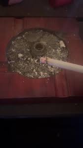 First time trying a red lucky strike and gotta say absolutely beautiful goes down smoothly and tastes even more amazing definitely will buy again 10/10 : r/Cigarettes