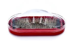 Table Sweeper Brush,Red,Plastic,Removable Clear Lid,Small ...