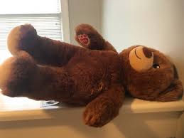 Build A Bear Brown Teddy Bear Stitched Eyes Stuffed Animal ...