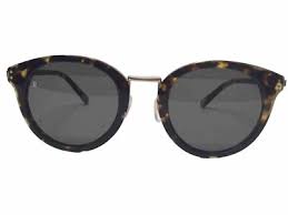 Raen Potrero Womens Sunglasses Brindle Tortoise Polarized ...