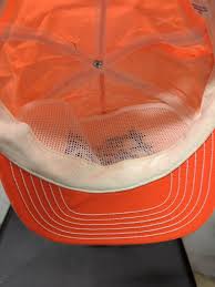 Vintage Carson-Newman Eagles Snapback Hat NCAA Park Avenue ...