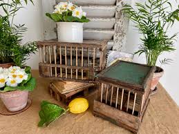 Antique French Bird Cages (set of 2): Farmhouse Decor With ...