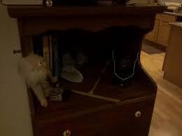 365 days of Darwin: 23 September 2010 – Southern Fried Science