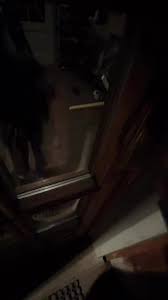 williwhey (@williwhey) | TikTok