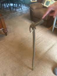 Cane/walking Stick. Elephant Cane - Etsy