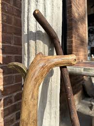 Pair of 1970s Wood Walking Sticks | Chairish