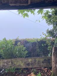 The Fourth Camino: Part 11 – Maybe There Will Be Cupcakes